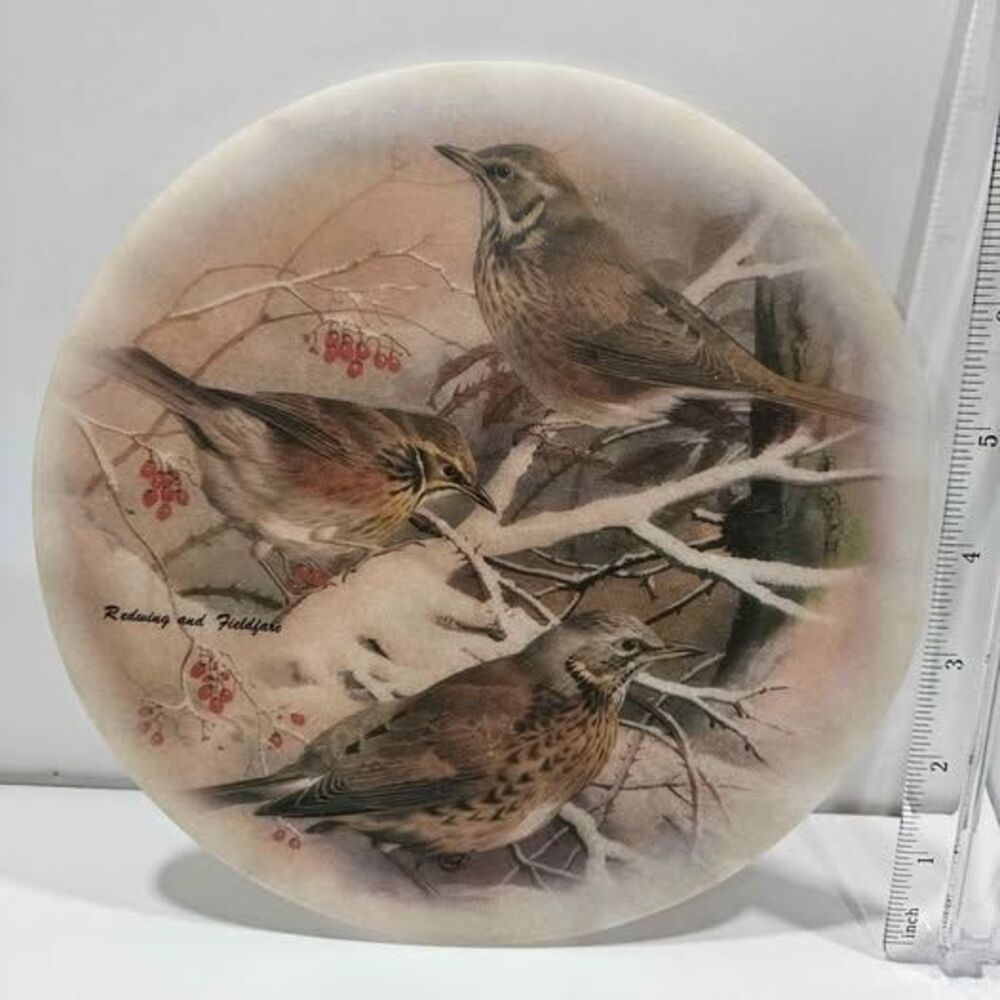 Redwing and Fieldfare Bird Decorative Plate 7 inch